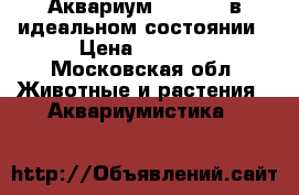 Аквариум Jebo 338 в идеальном состоянии › Цена ­ 2 000 - Московская обл. Животные и растения » Аквариумистика   